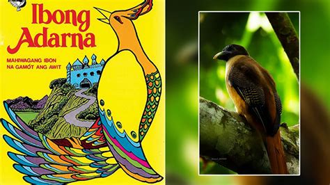  Ang Ibong Adarna: En Resa Genom Filippinernas Folklore och Mystik!